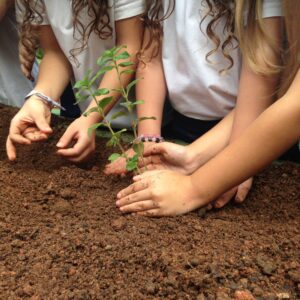 8 dicas para ensinar as crianças sobre sustentabilidade.